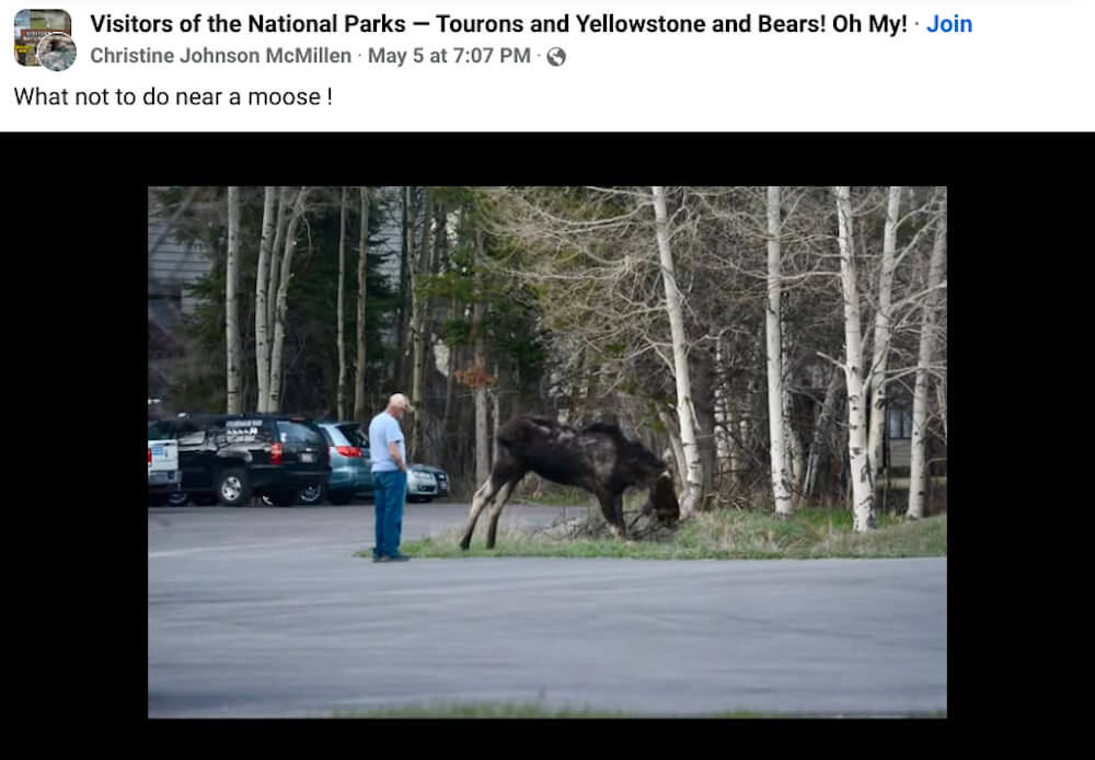 "This won't end well."