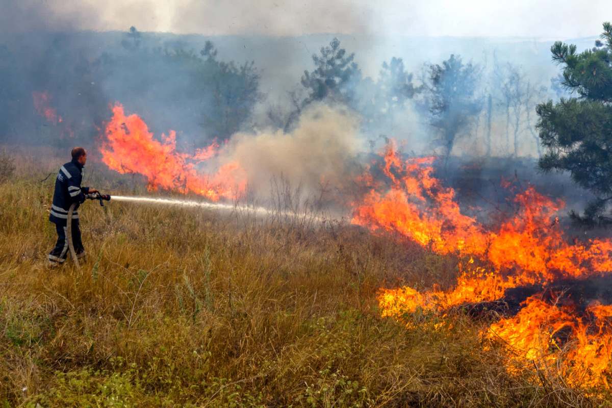 "Exacerbating wildfire conditions."