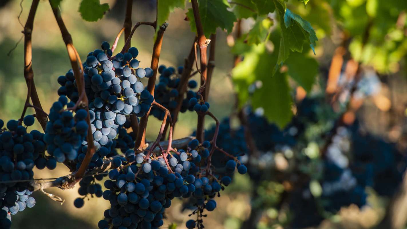 It's happening all across the globe.