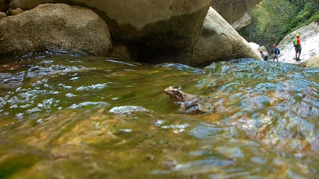 "[The ranchers] are really proud about being neighbors of these incredible animals."