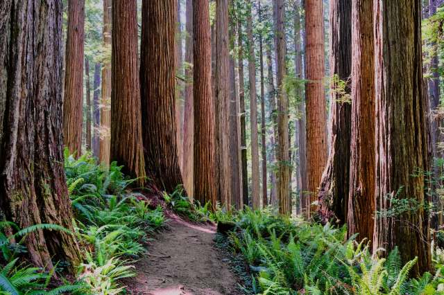 "A vital part of our region's ecological health."
