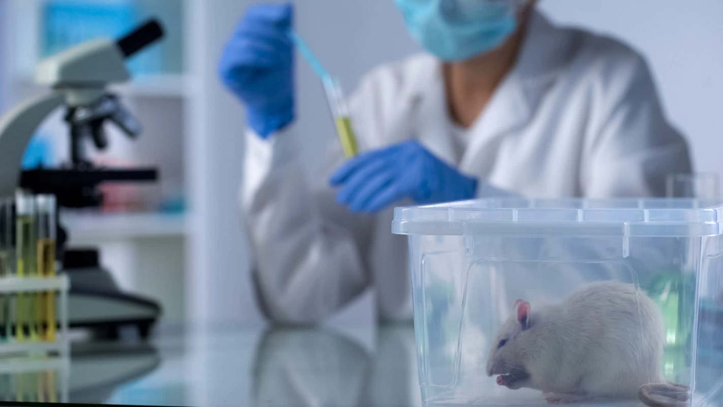 Stronger regulations, corporate accountability, and funding for more research are all critical.