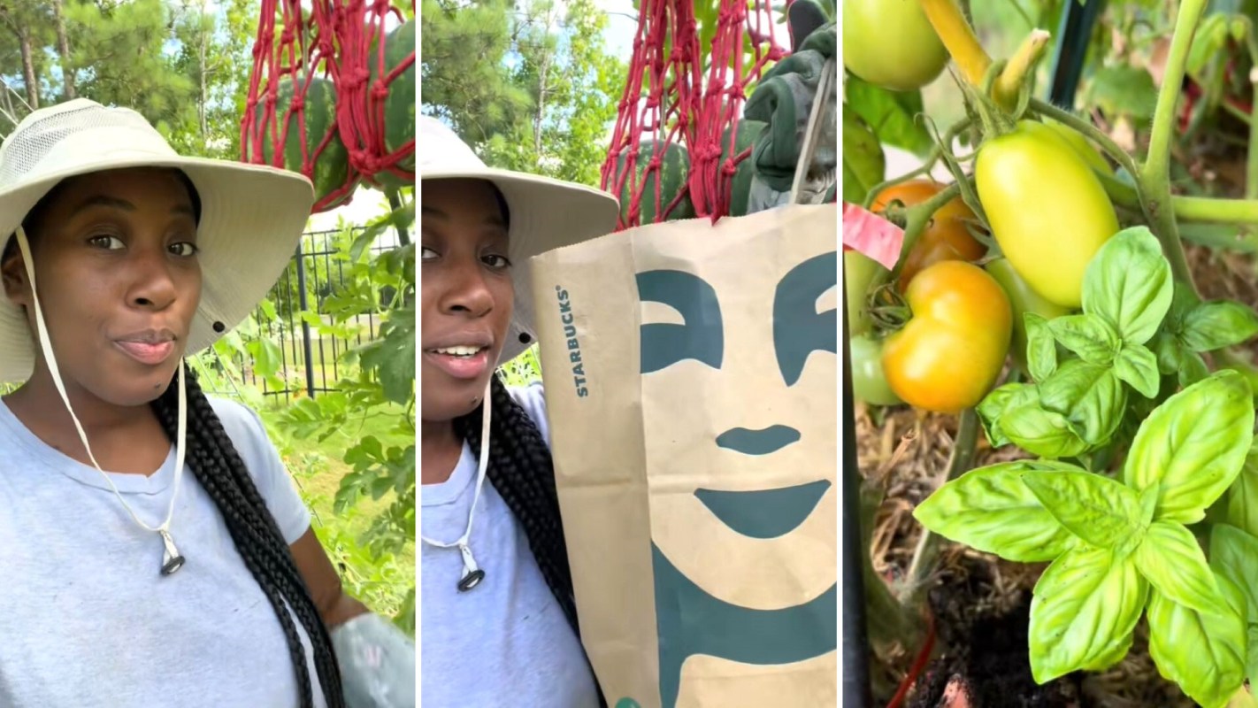 "Been doing that for years."