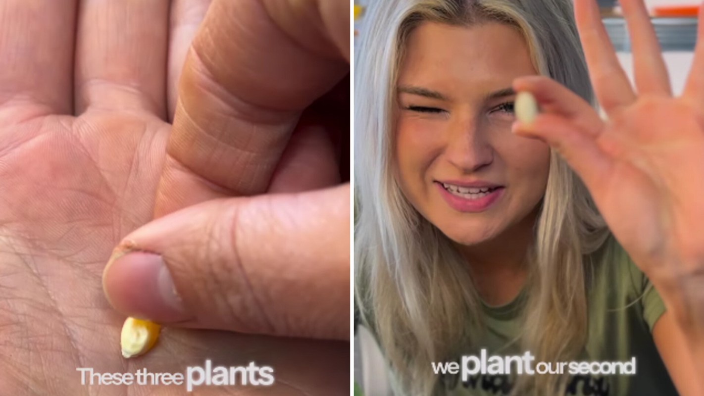 "Some of the best gardening tips I've heard."