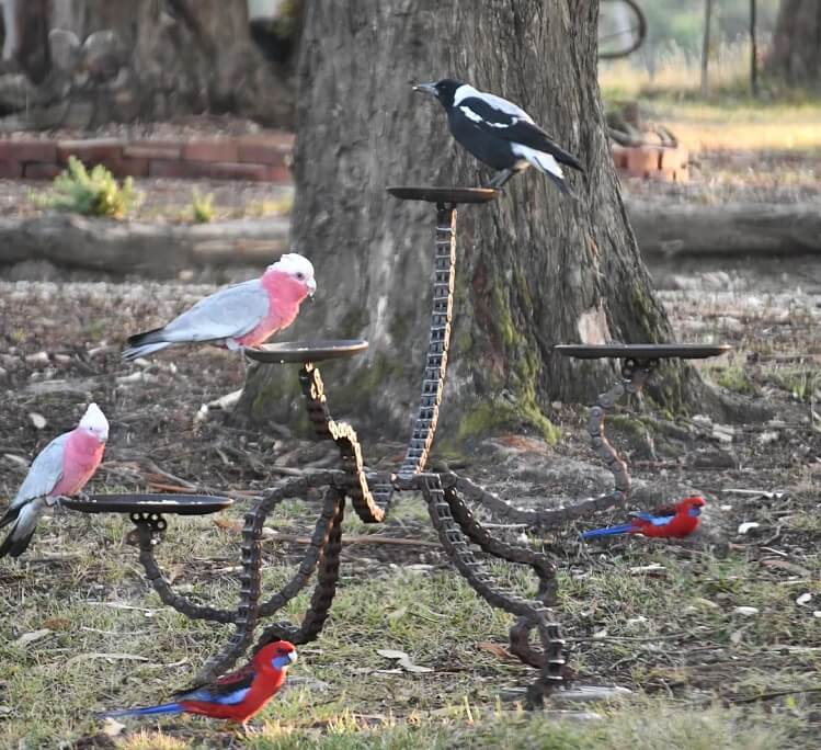 "Don't know what I love more: your snazzy bird feeder or those gorgeous birds!"