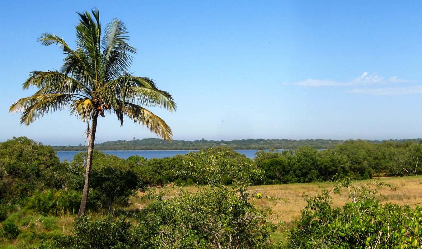 "This is a significant conservation success."