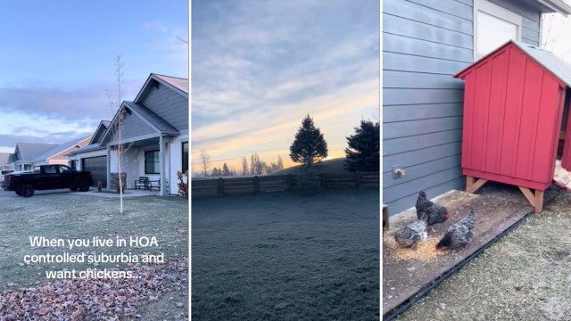 "Every day would be a nightmare to me if I lived in an HOA."