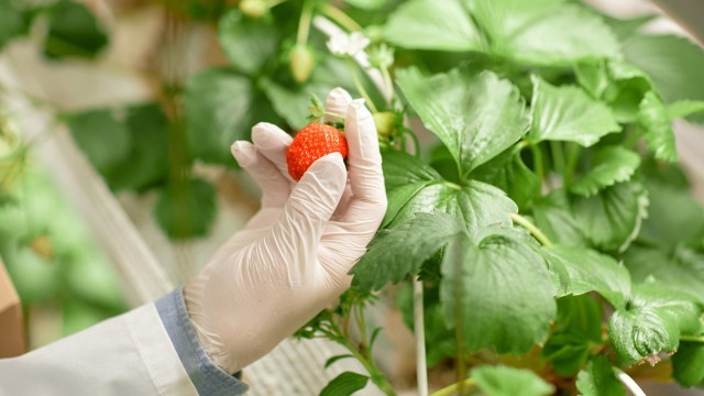 The project is part of a broader effort to make food systems more circular.
