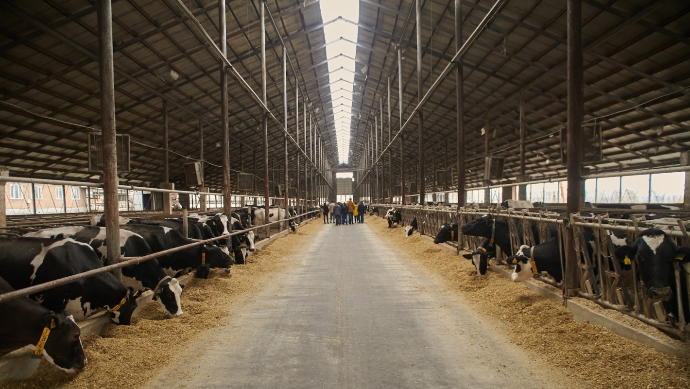 "Can yield a return on investment for the farm."