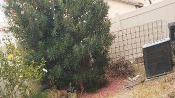 Redditors chimed in with alternative ideas.