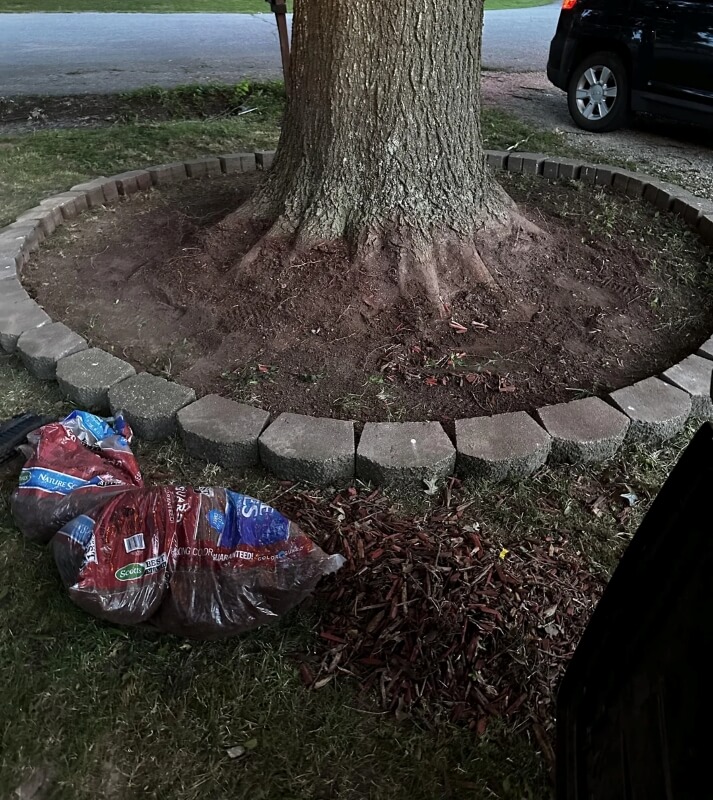 "Looks great."