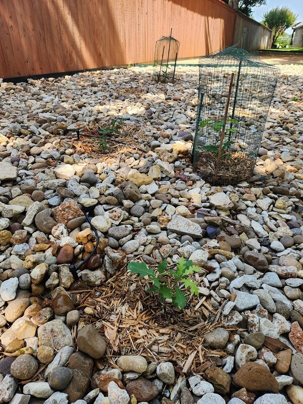 Unfortunately, the HOA has committed a classic blunder.