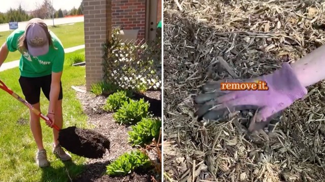 "Two inches here, two inches there, year after year, adds up."