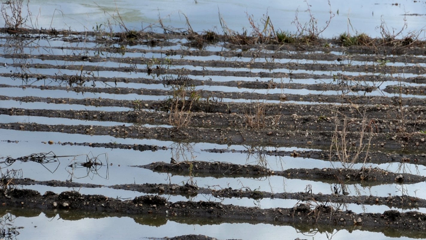 When food production slows, costs shoot up.
