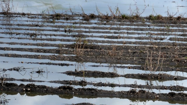 When food production slows, costs shoot up.