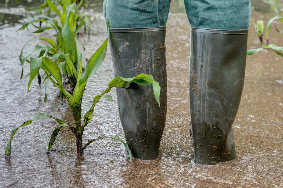 "We've had farm equipment washed down the river."