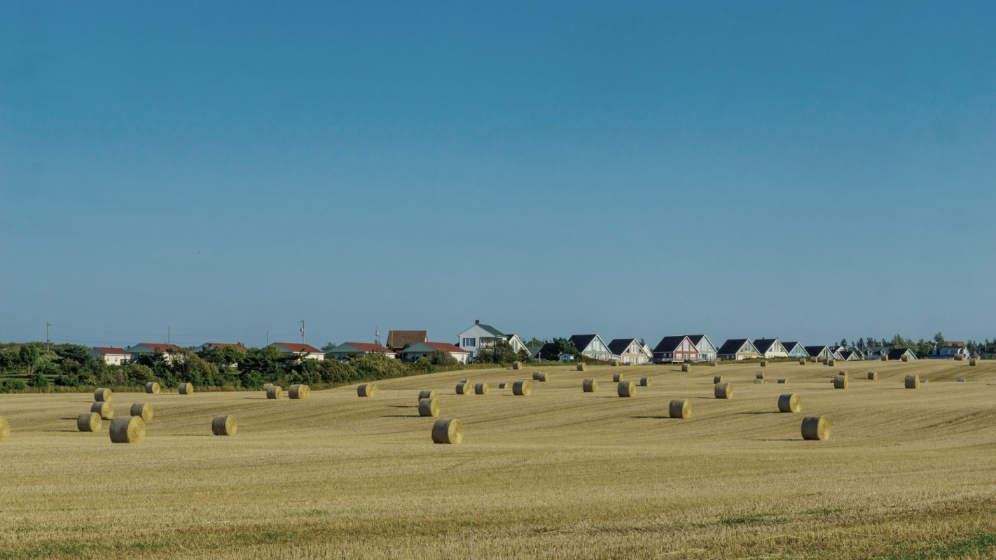 Many growers have exited the industry.