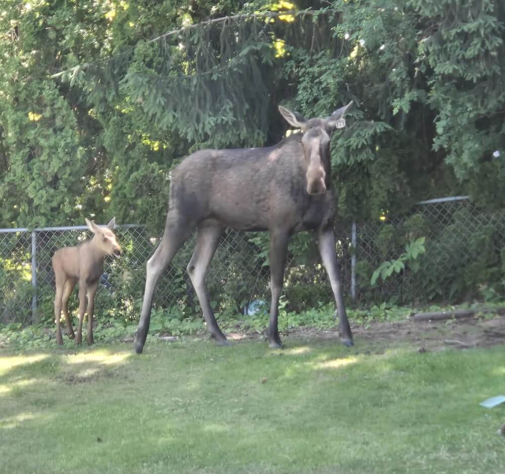 "They hung out over the weekend."