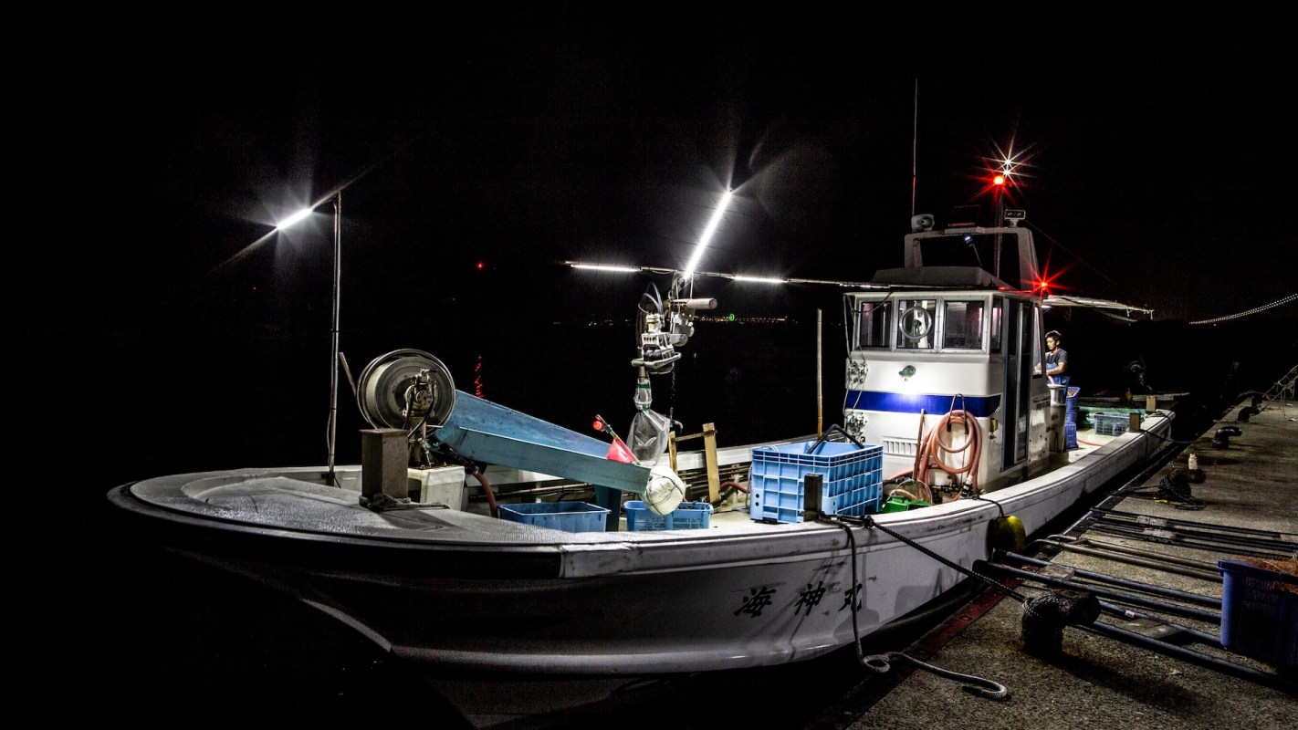 "This was a coordinated large operation."