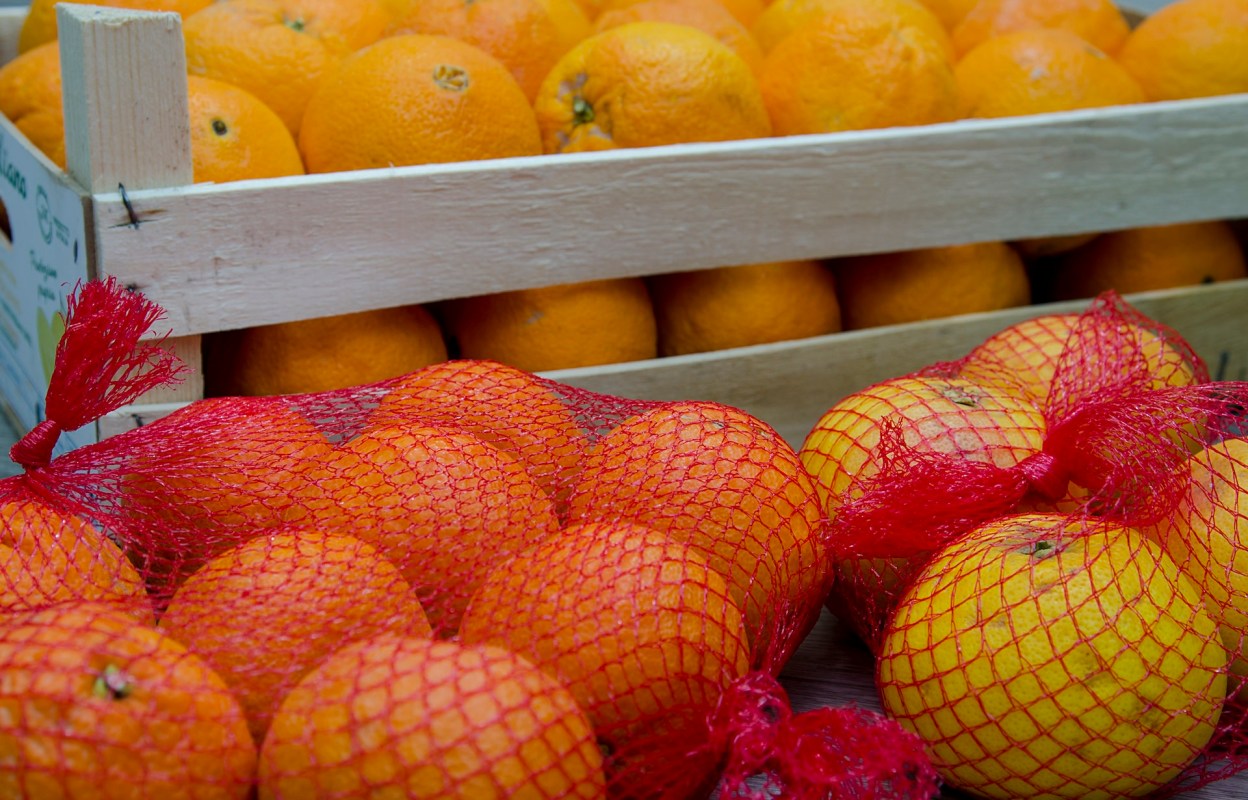 Supermarkets and other businesses have been alerted to prepare for the upcoming changes.