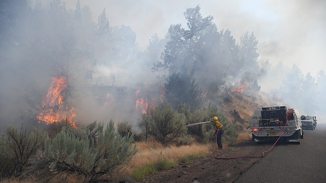Wildfires are surging across the US this year, with over 41,000 so far.