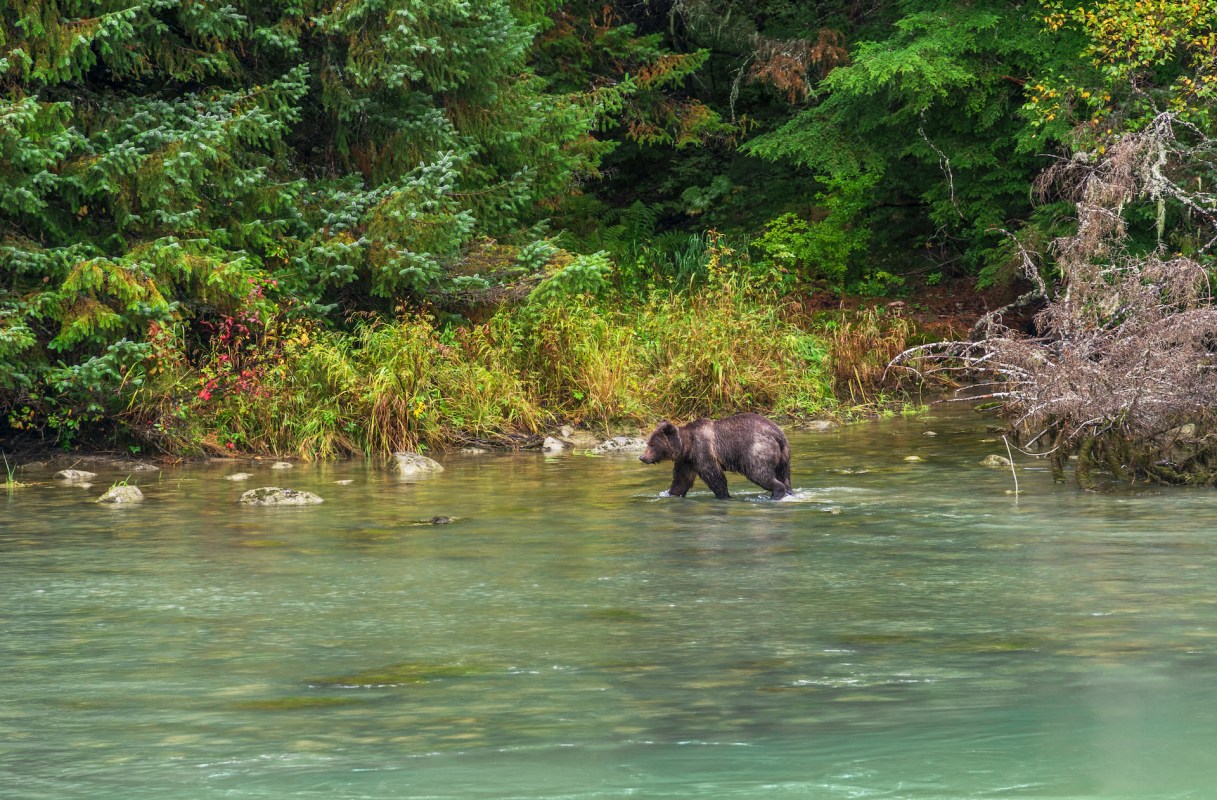"Something that I've never experienced living anywhere else."