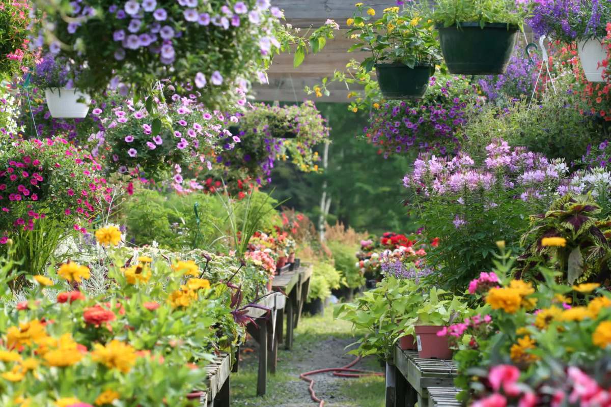 While initially successful at reducing weeds, nature finds a way.