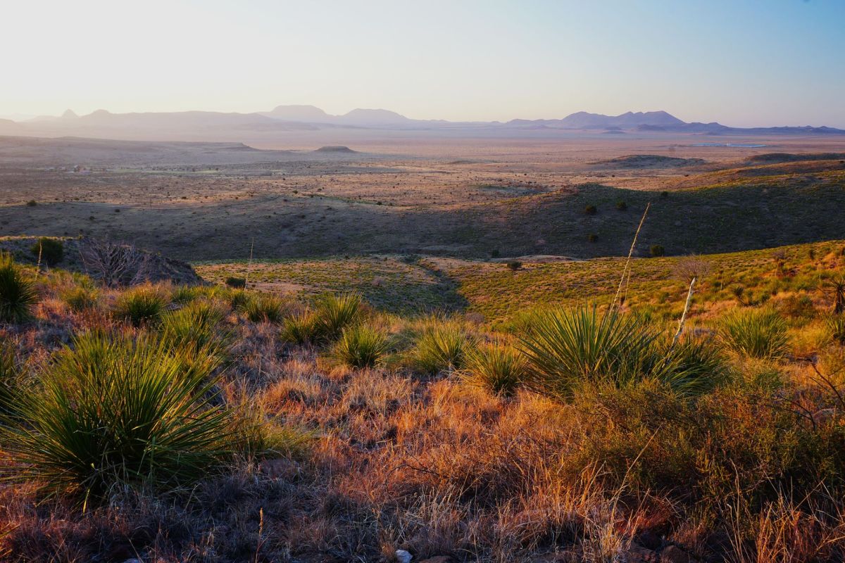 "This project will create well-paying local jobs."