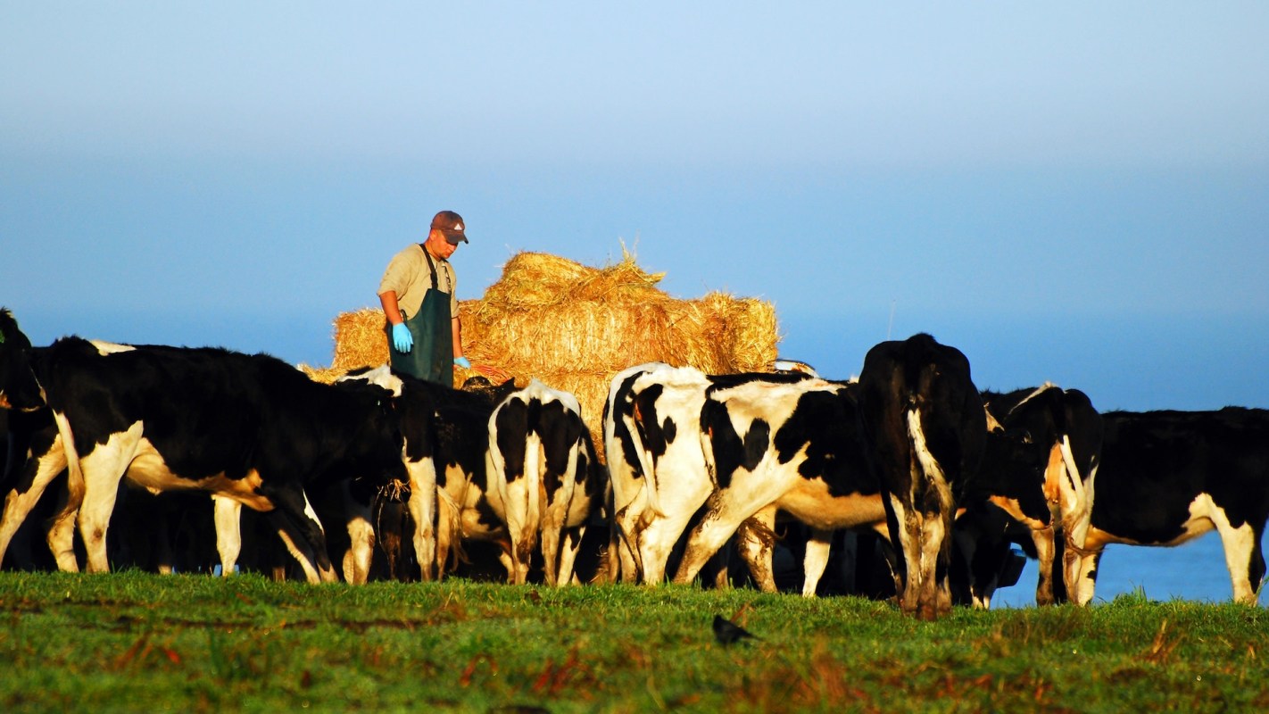 "This was a textbook case of adaptive management."