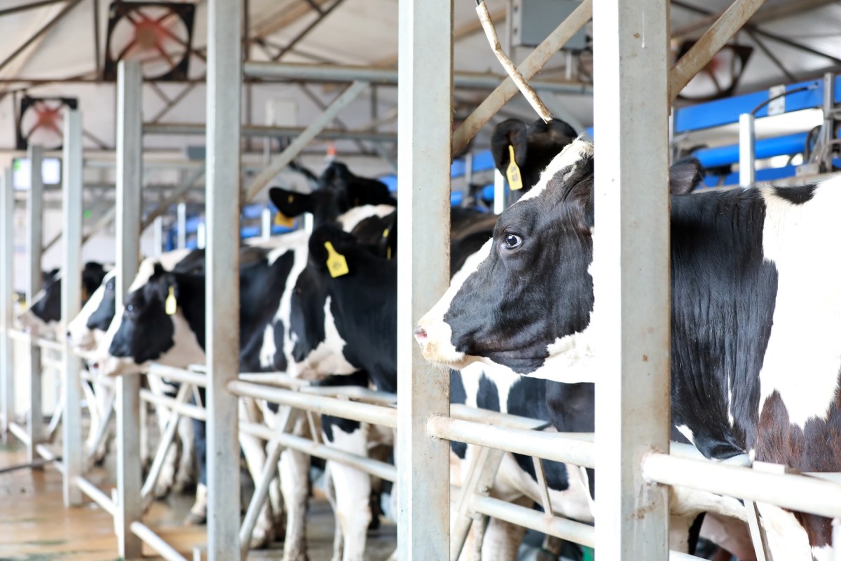 Farmers around the world are struggling to adapt.