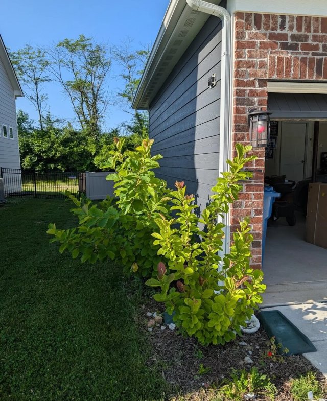 "Our HOA is pretty active/confrontational."