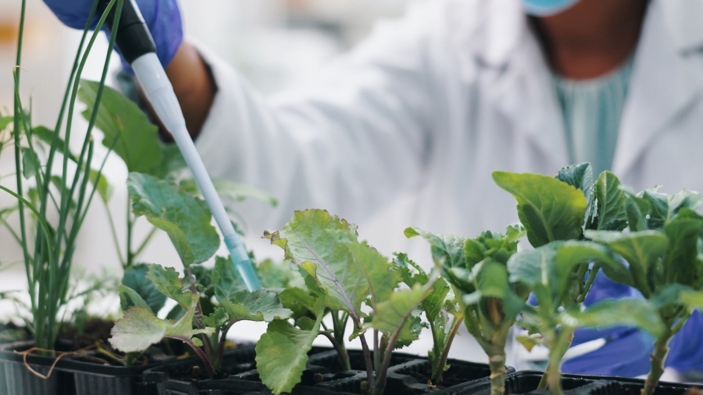 "We are what we eat, and plants form the foundation of our food network."