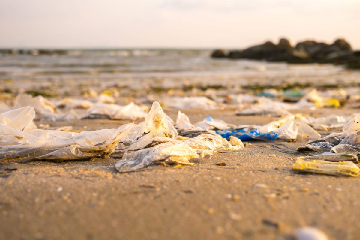 A pair of researchers examined hundreds of state and local plastic bag policies.