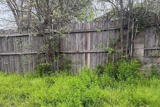 "You have a healthy little ecosystem in your yard!"