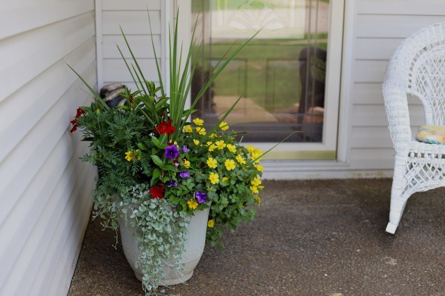"And this is reason 1,000 why I would never live in an HOA."