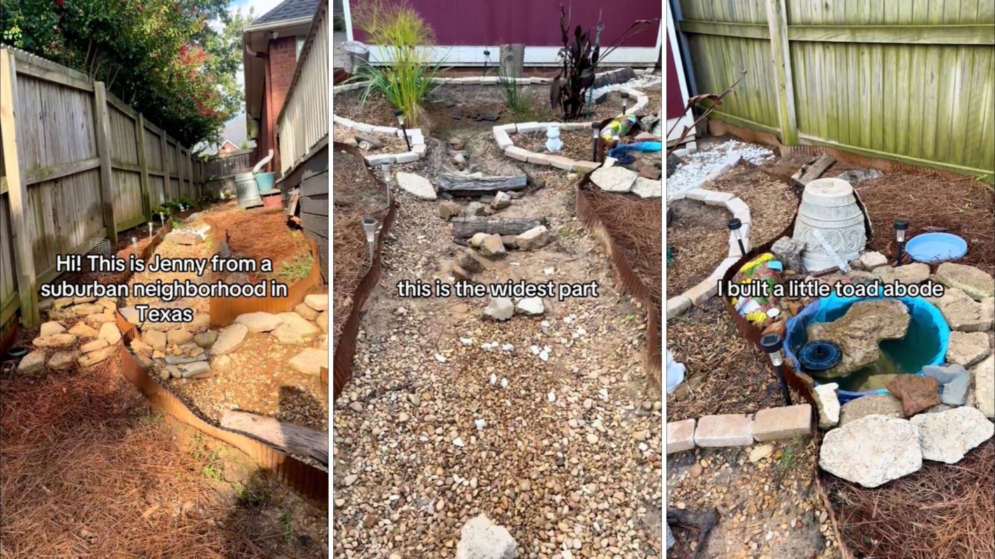 Viewers were quite impressed with what she had built.