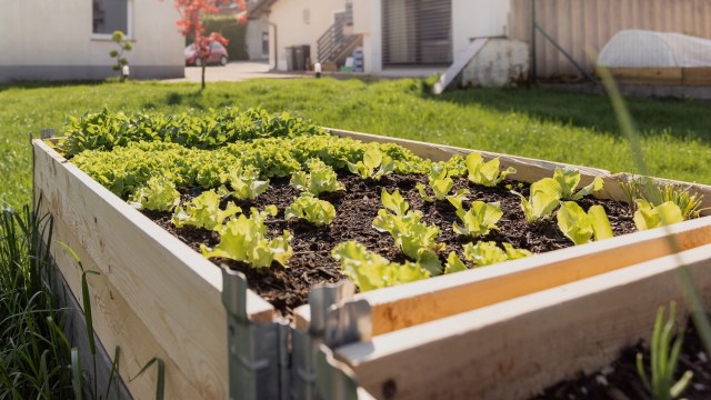"The best thing to do is try and get a rule change to allow it via HOA vote."