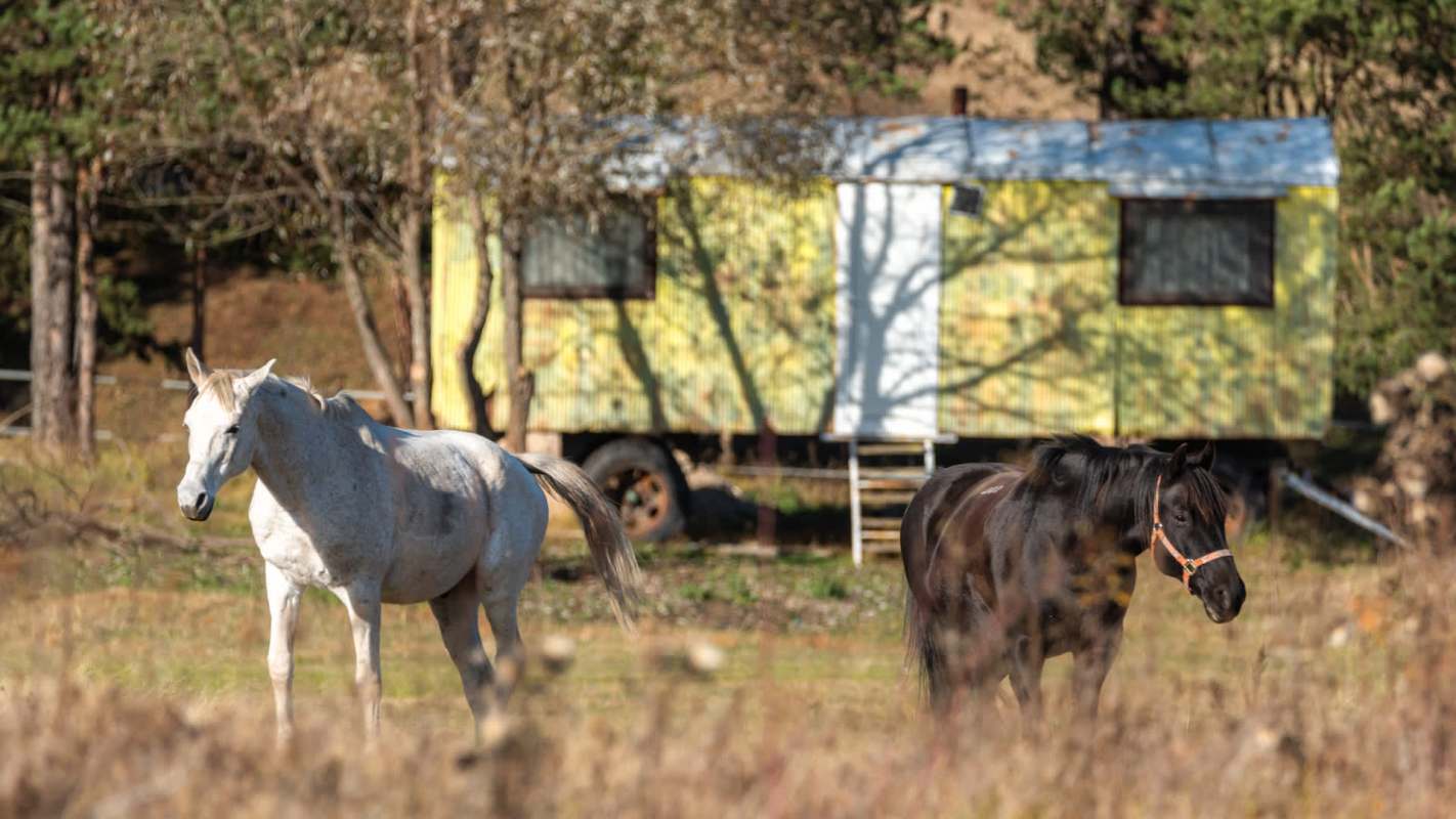 "Living close to your horses is motivation to declutter and downsize."