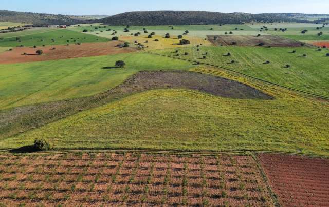 "Can be interwoven into agricultural landscapes."
