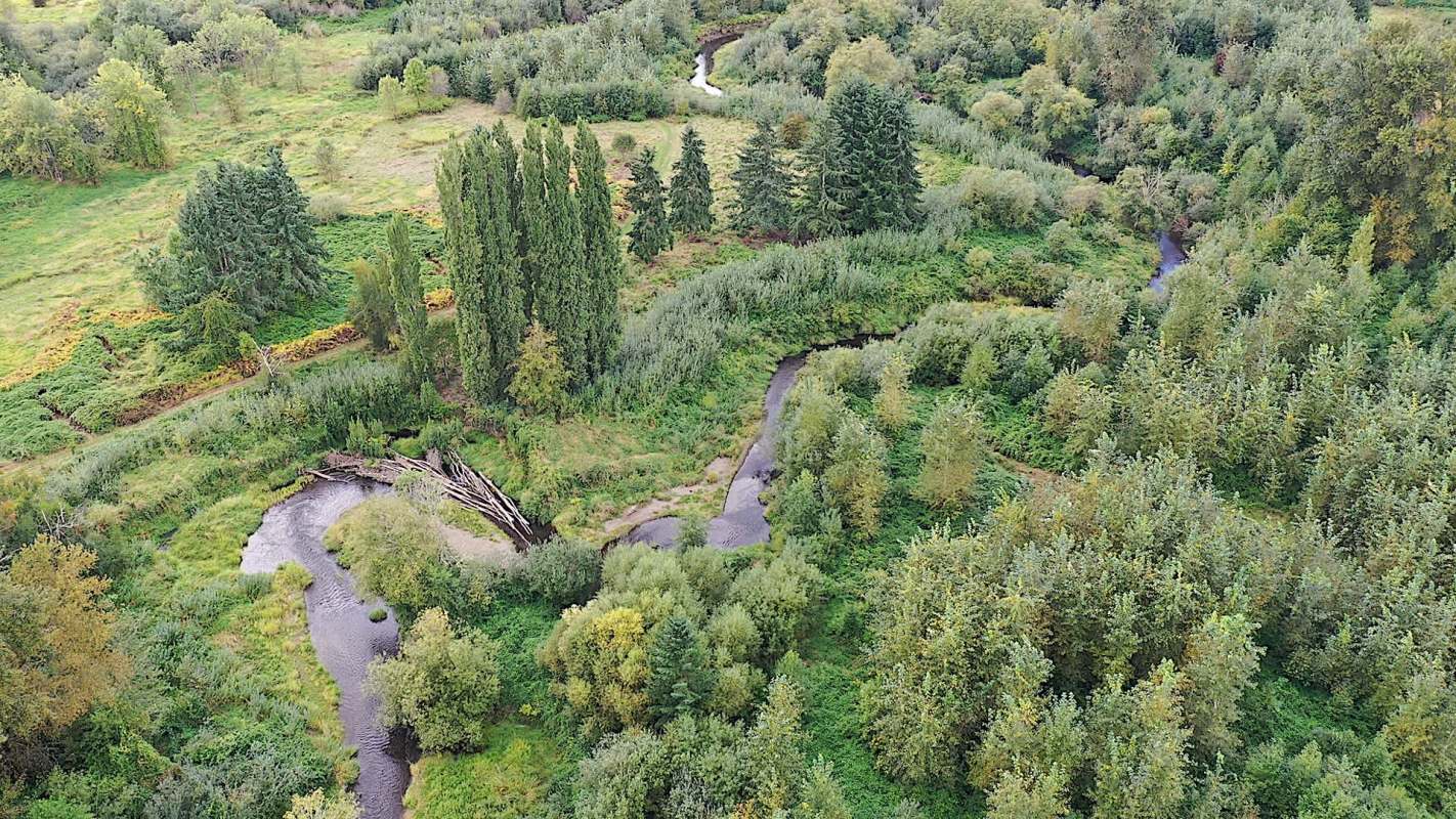 Nearby development has damaged their habitat.