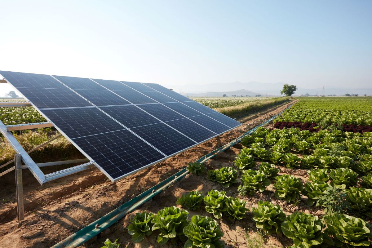 Between November 2021 and July 2023, researchers worked directly with small farms.
