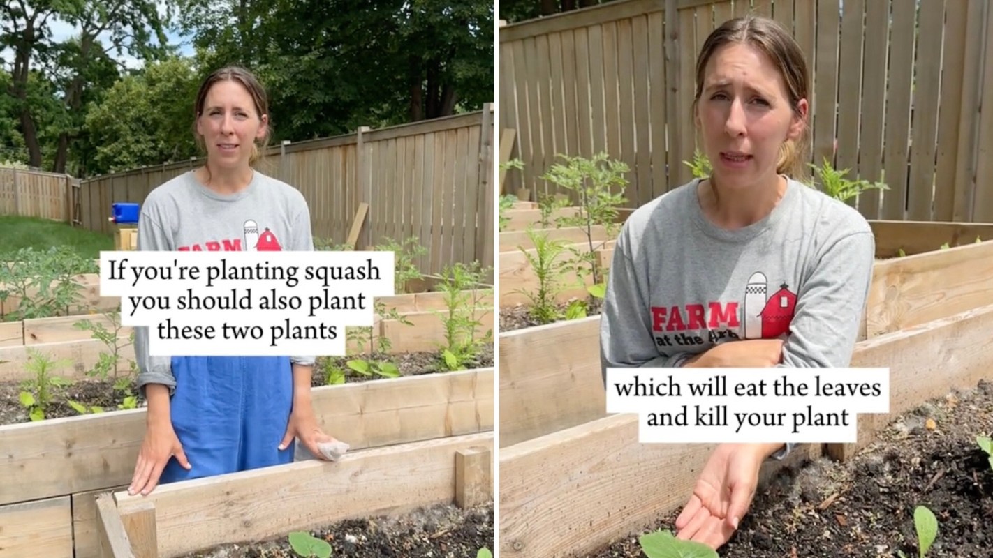 Fellow gardeners were thankful for the tips.