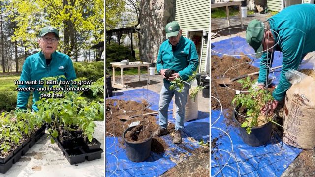 Home gardening offers many benefits, especially when you're growing your own food.
