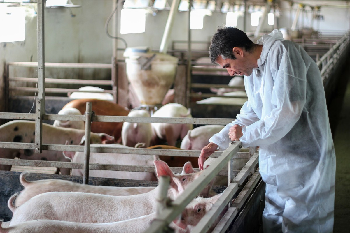 "Current methods ... are limited by a lack of sensitivity and reliability."