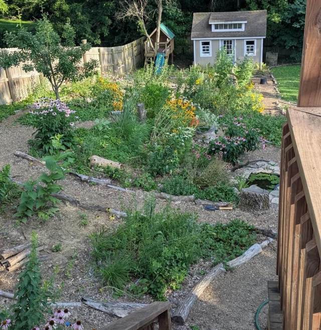 What started as a backyard full of brittle grass is now bursting with color, buzzing with life, and inspiring other gardeners.