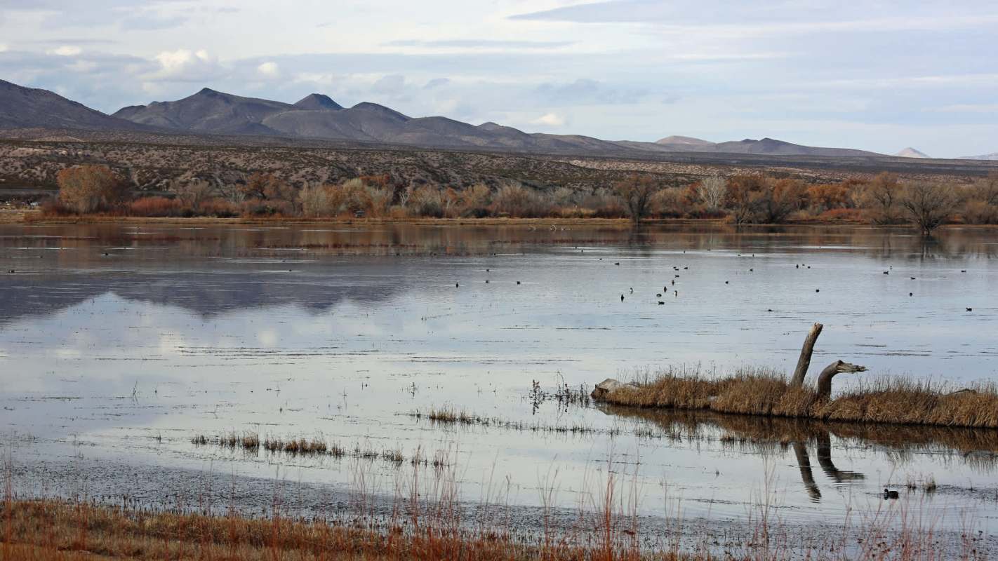 "Will take no actions to acquire lands within the acquisition boundary."