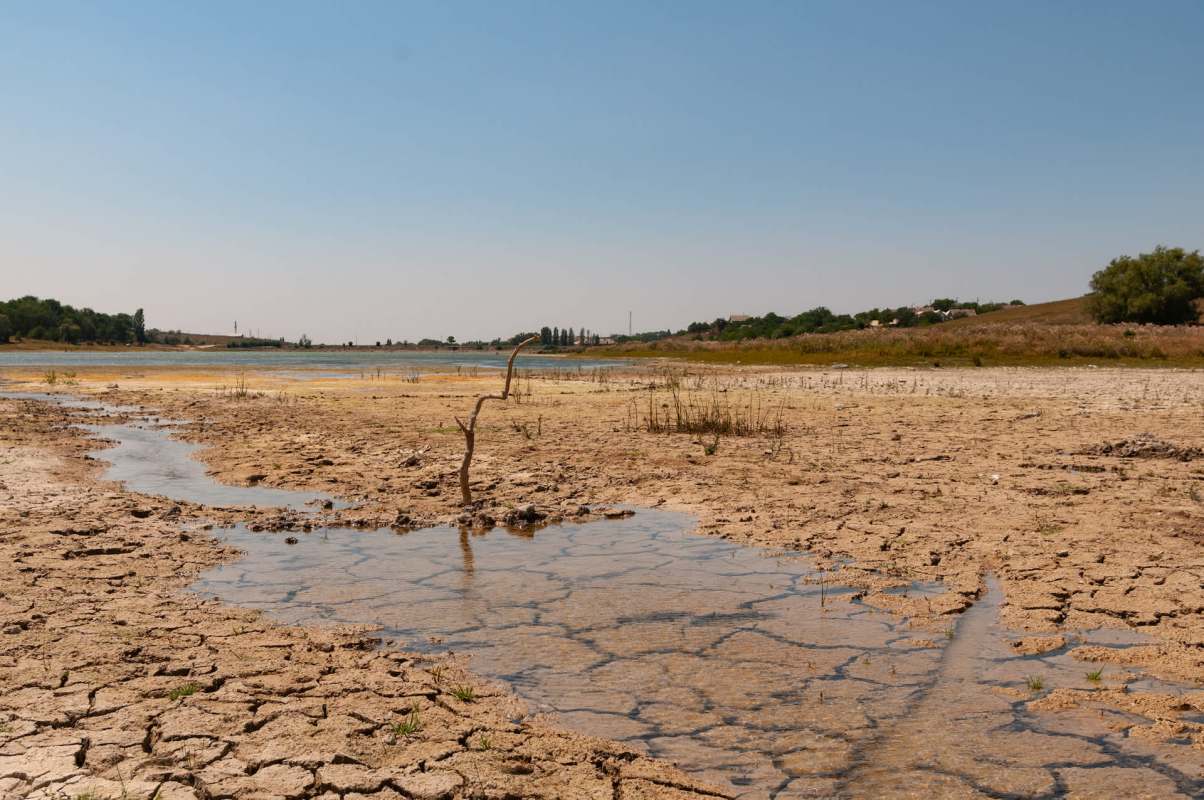 Full lakes mean there's water for homes, businesses, and wildlife.