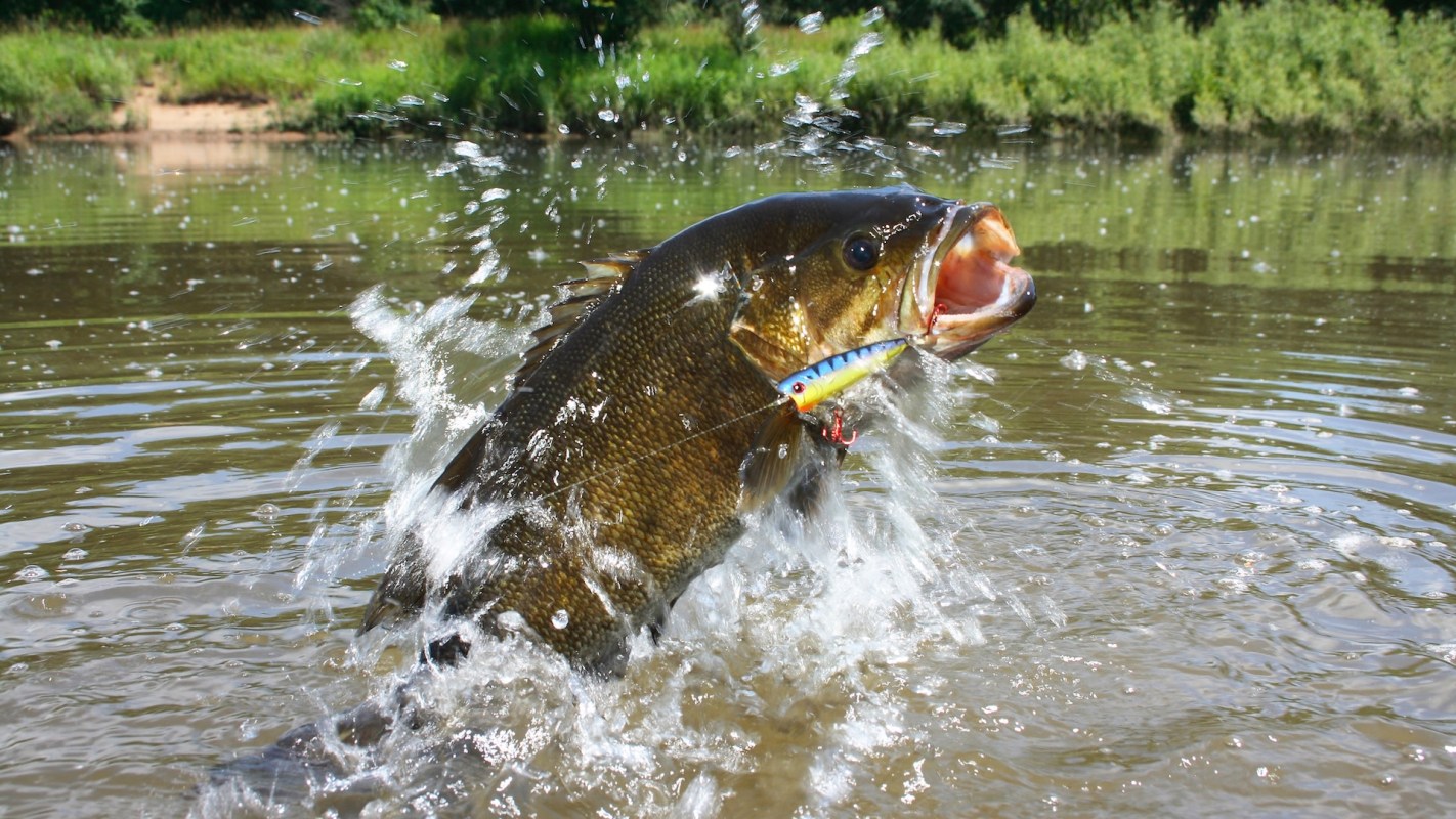 It's our job to remove them.