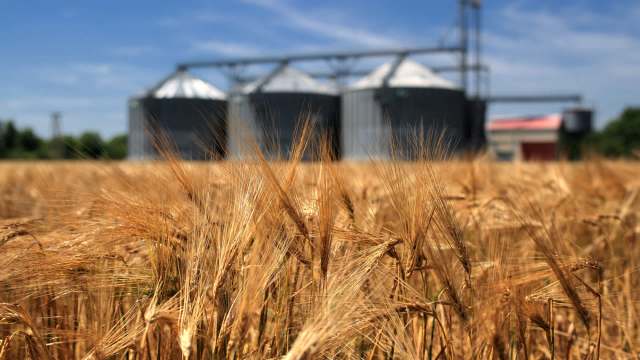 "We need to inform farmers of what their best options would be."