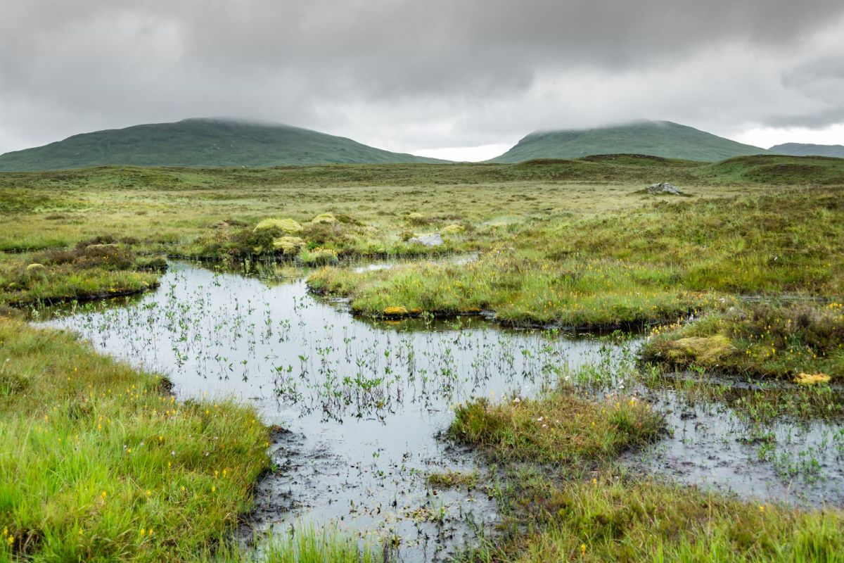 "In recent years, there's been a good partnership between farmers and conservation projects."